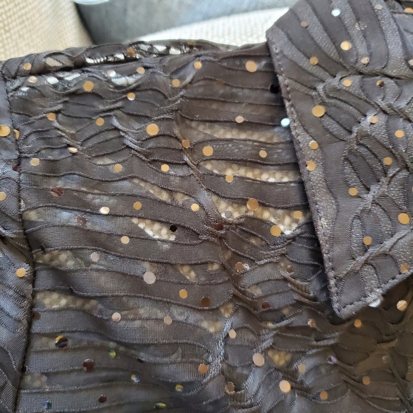 Mistook Long Sleeve Sheer Sequin Button Front Blouse.  Size Small - Picture 6 of 6